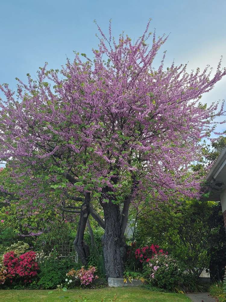 10A Park Lane Highfield_21