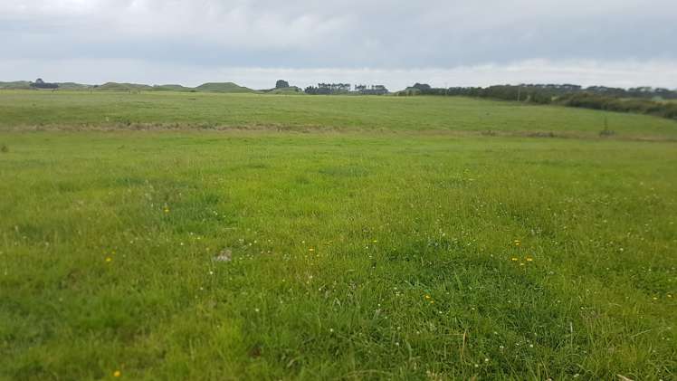 531 Ngariki Road Rahotu_19