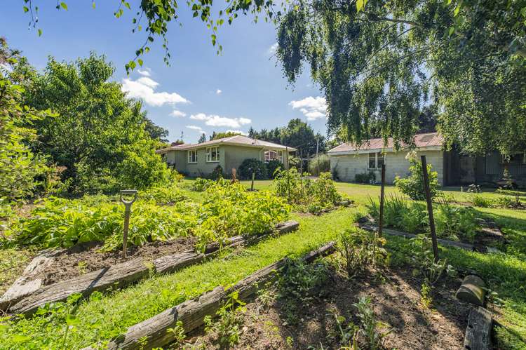 8 Harris Street Dunsandel_10