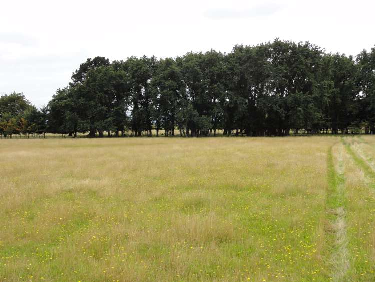 352 Horsley Down Road Hawarden_18