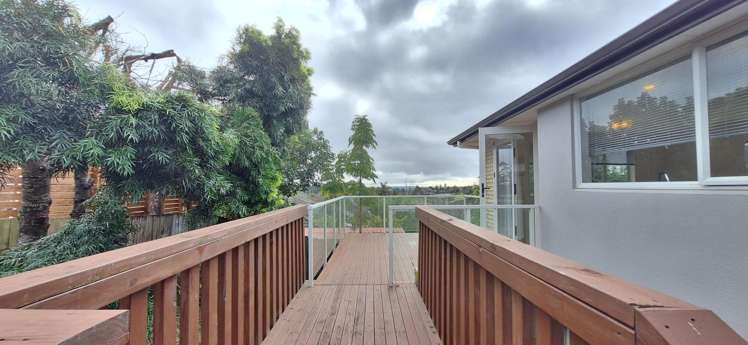3A Pittville Place 11401_18