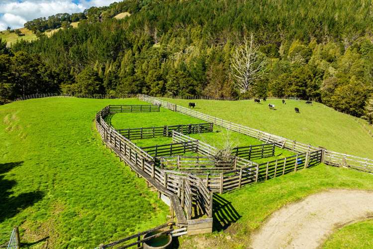 255 O'Carroll Road Maungakaramea_6