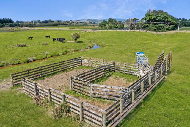 Broomfield Road Woodville_1