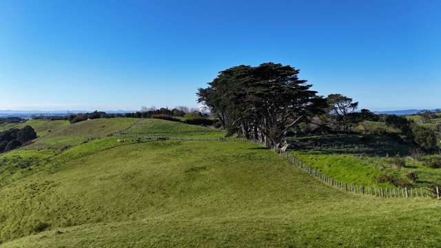 1190 Awhitu Road Waiuku_1