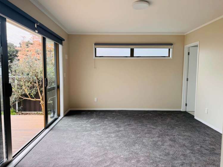 19a Walpole Street Ellerslie_7