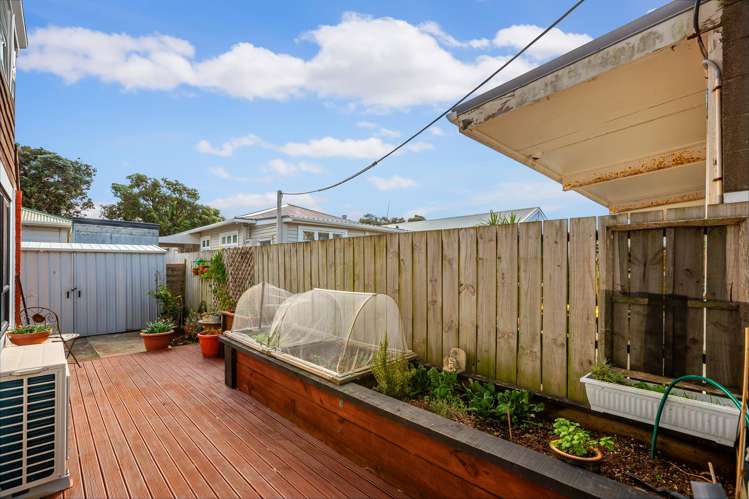 42B Park Road Miramar_12