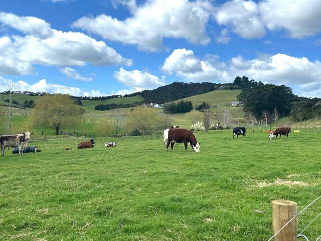 Puketona Road Paihia_1
