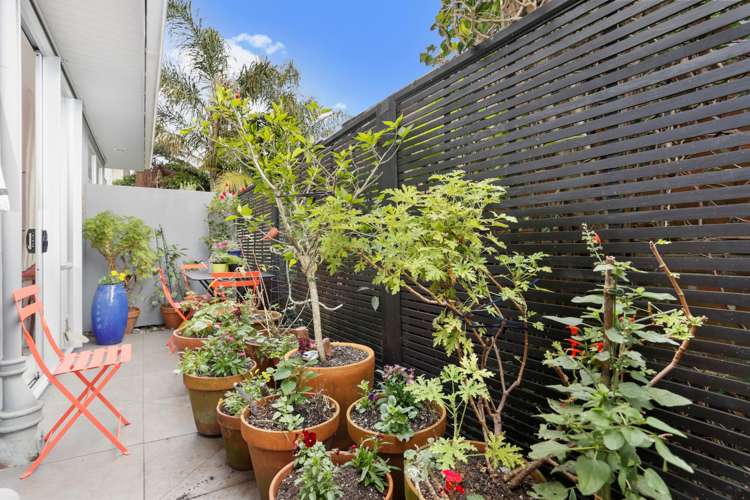 25e Eltham Road Kohimarama_9