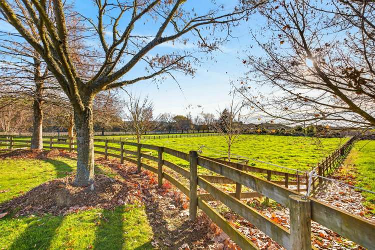 529 Puketitiri Road Puketapu_24