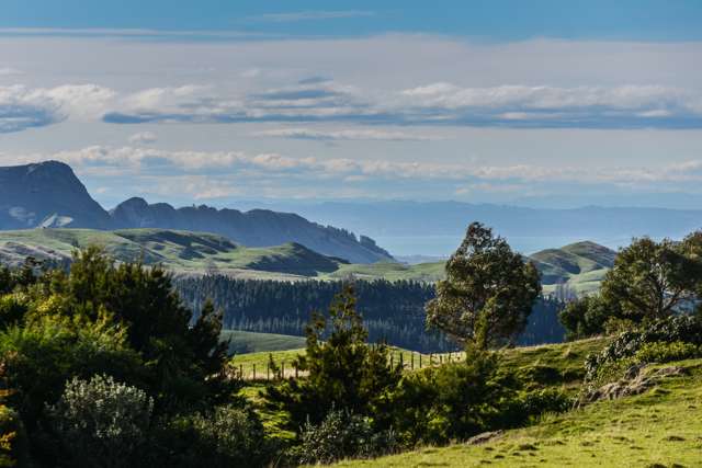 1075 Maraetotara Road Central Hawkes Bay Coastal_1