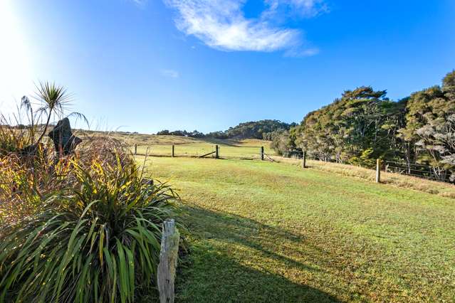 91 Sharyn Nelson Drive Haruru_4