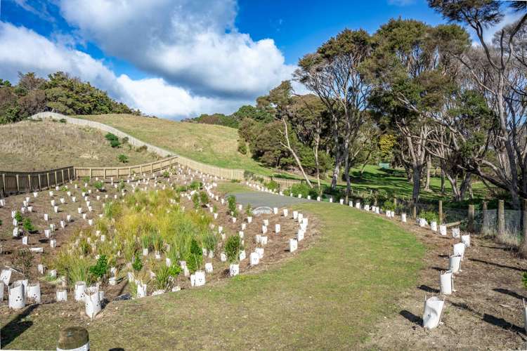 16 Anderson Park Drive Waikanae_9