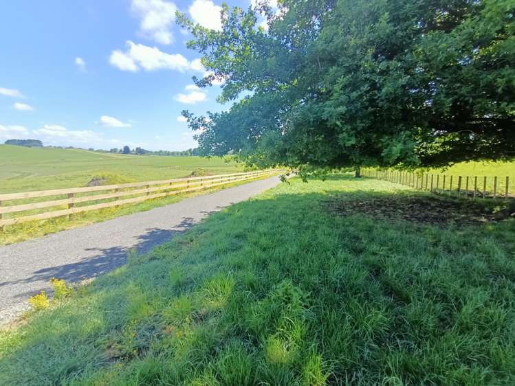 Kuranui Road Morrinsville_5