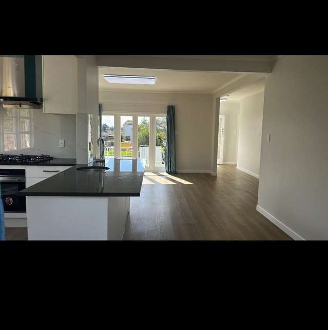 46 Miro Street New Lynn_1