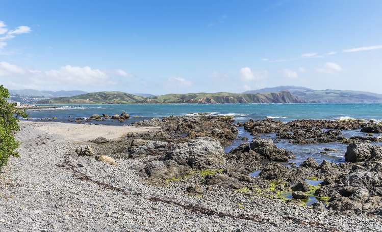 78 Moana Road Plimmerton_19