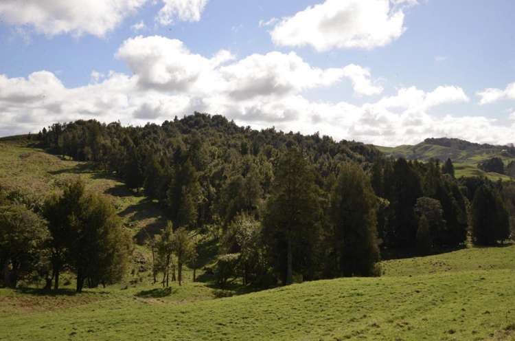 154 State Highway 3 Te Kuiti_16