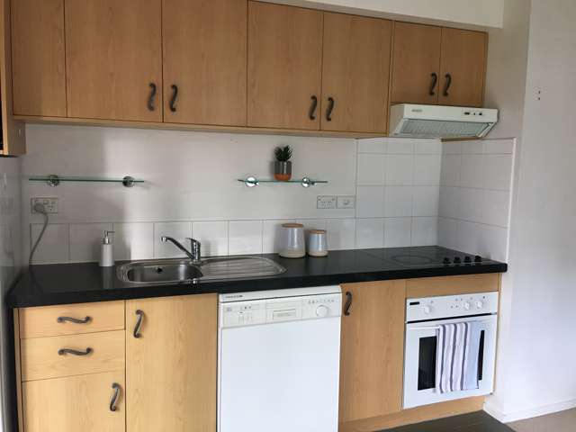 9B/2 Eden Crescent Auckland Central_1