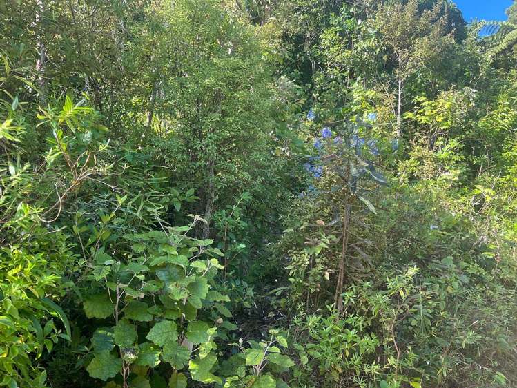 27 Waiapu Road Kelburn_15