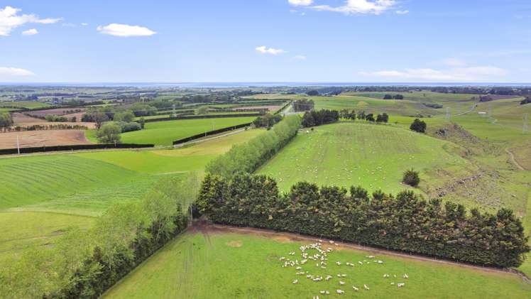 711 Brockley Road Rosewill_0