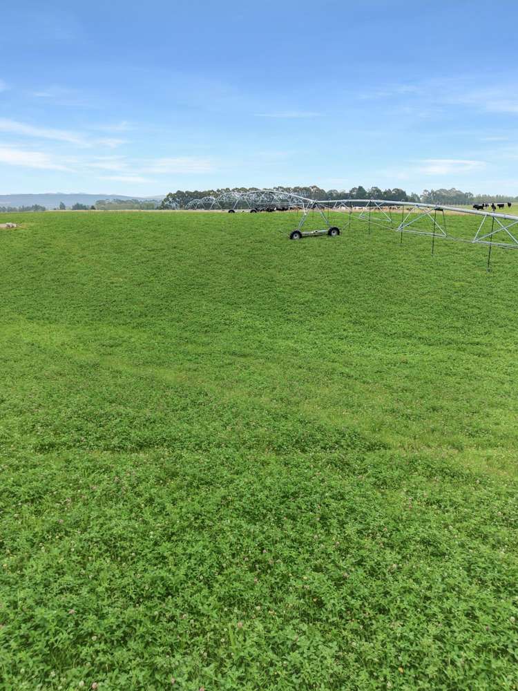 126 Happy Valley Road Herbert_31