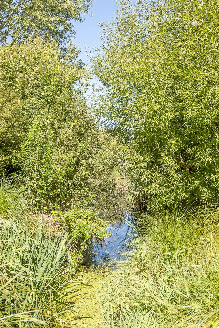 21 Goulds Road Springston_19