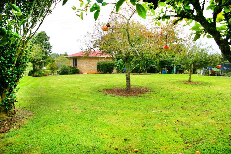 113 Lewis Road Karaka_9