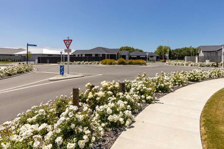 9 Bond Street Springlands_5