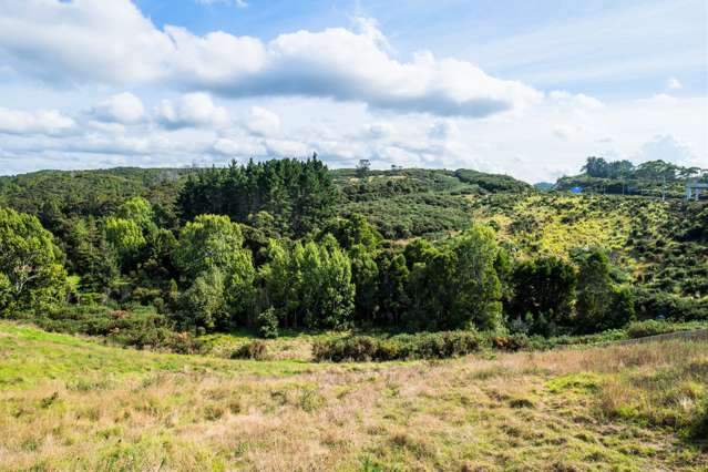 31 Kotuitui Drive Wainui_3