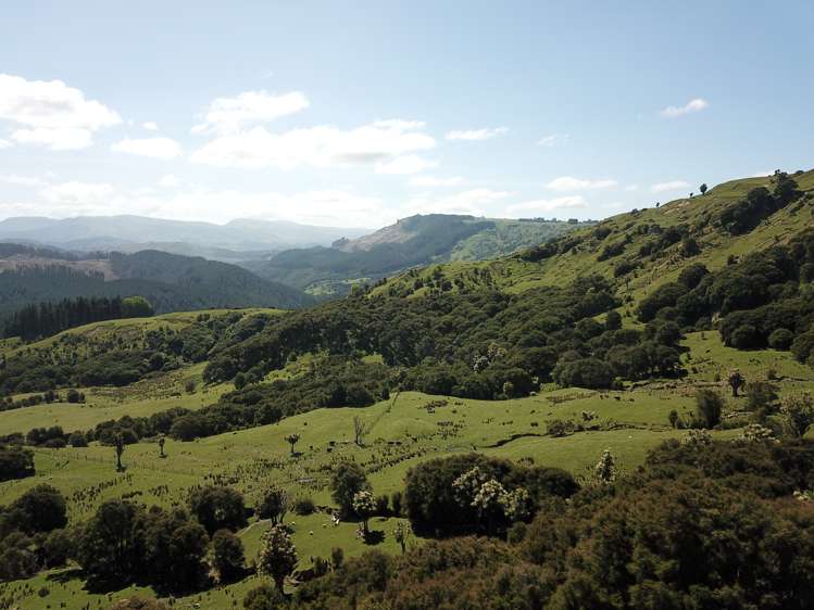 1050 Ellis Wallace Road Eskdale_7