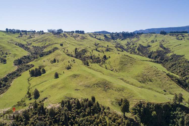 482 Table Flat Road Apiti_1