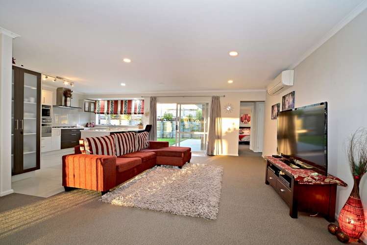 229 Jeffs Road Flat Bush_7