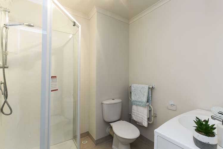 146f Aro Street Aro Valley_7