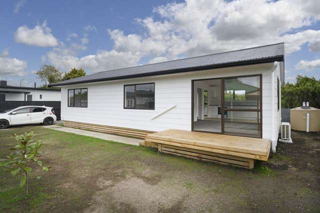 1007c Miro Street Mahora_1