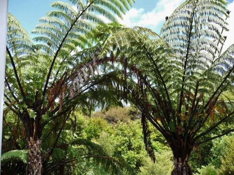 251 Dangen Road Peria_20