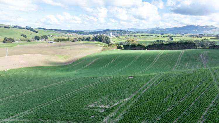 559 Waipahi Highway Mcnab_19