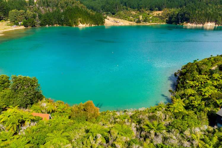 Tumbledown Bay Road Port Underwood_6