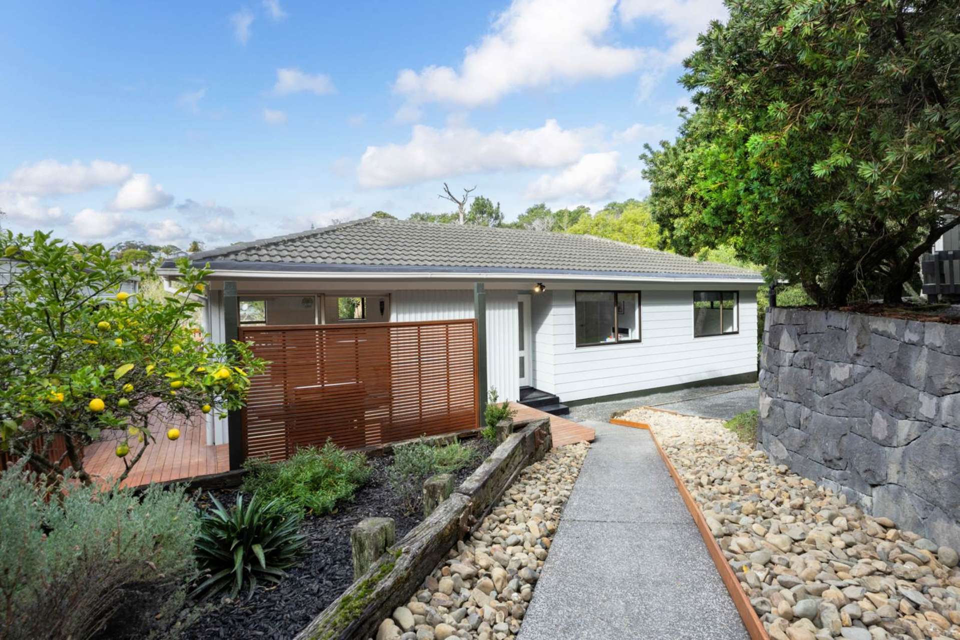 19 Hydra Place Glen Eden_0