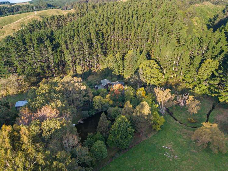 177 Forest Hill Road Aokautere_38