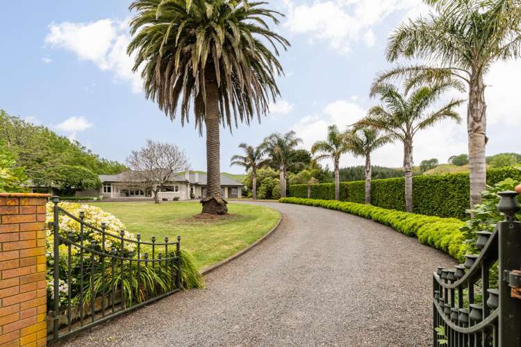 563 Tuki Tuki Road Tuki Tuki_25