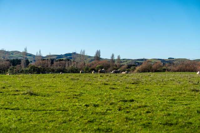 64B Opaki Kaiparoro Road Masterton_4