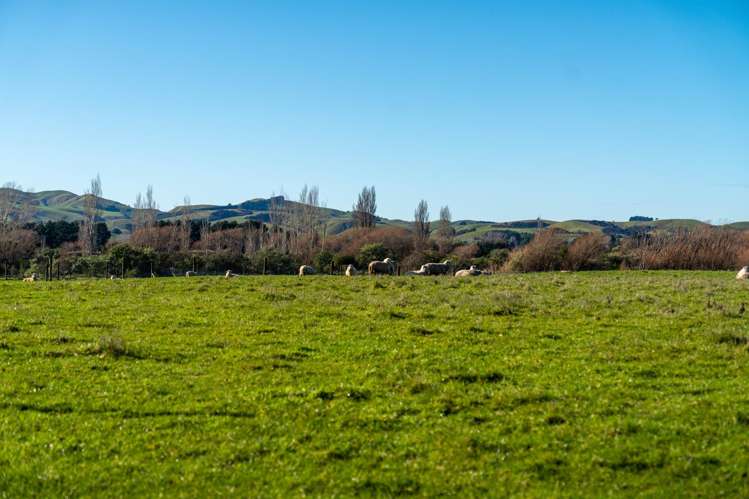 64B Opaki Kaiparoro Road Masterton_4