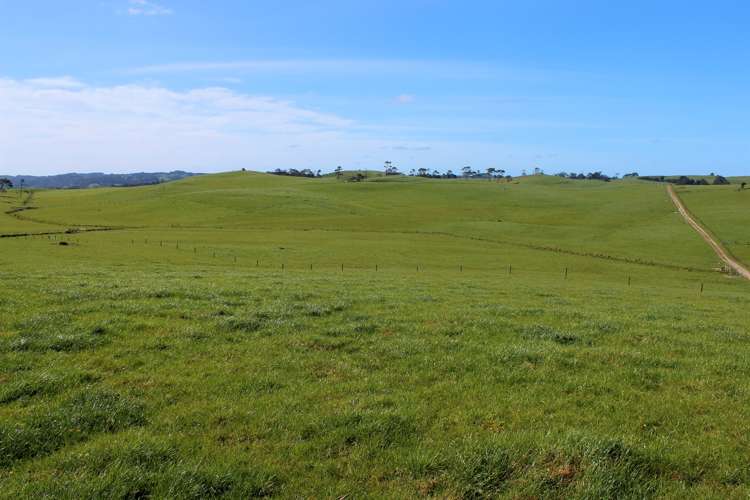 295 Waiteitei Road Wellsford_15