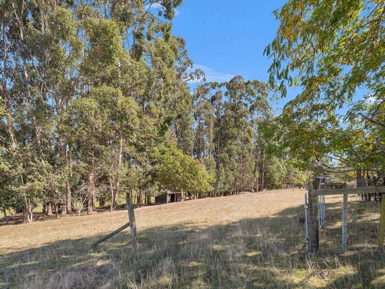 371 Tutaki Road Bunnythorpe_22