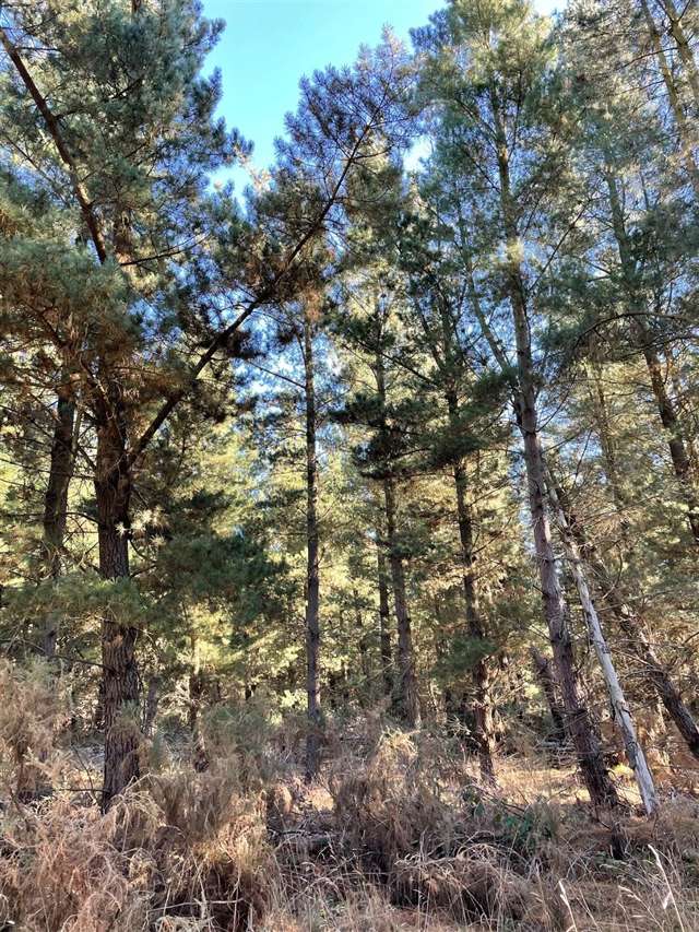 22 Hawkins Road Darfield_1