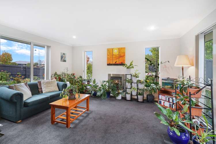 10 Charlie Stanton Place Shirley_5