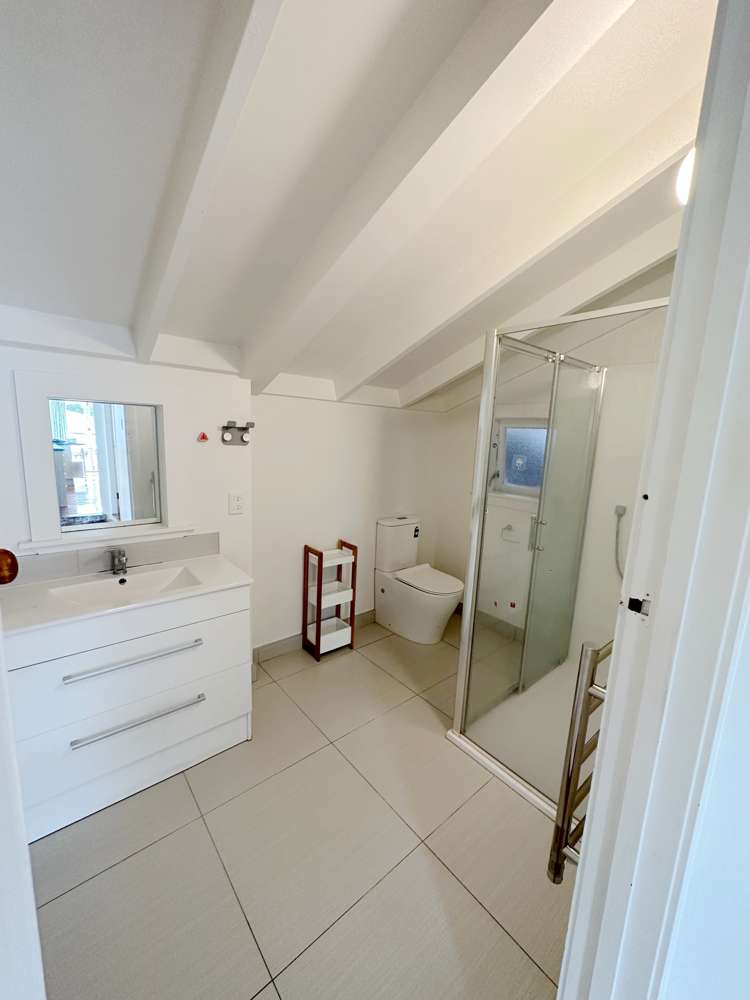 6 Arran Street Avondale_16