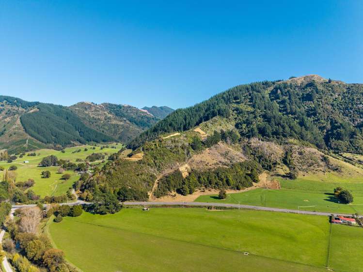 State Highway 6 Havelock_15