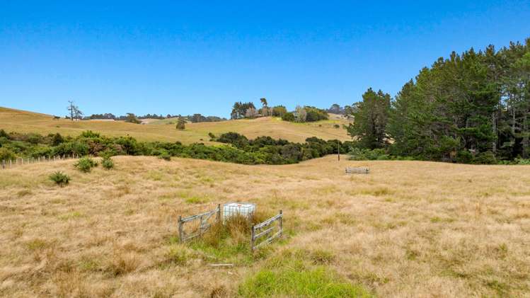 592 Kanohi Road Kaukapakapa_39