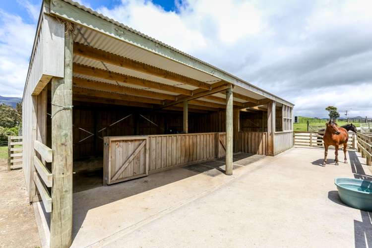 1375 Carrington Road Hurworth_25