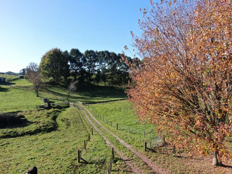 1370 State Highway 3 Te Kuiti_1